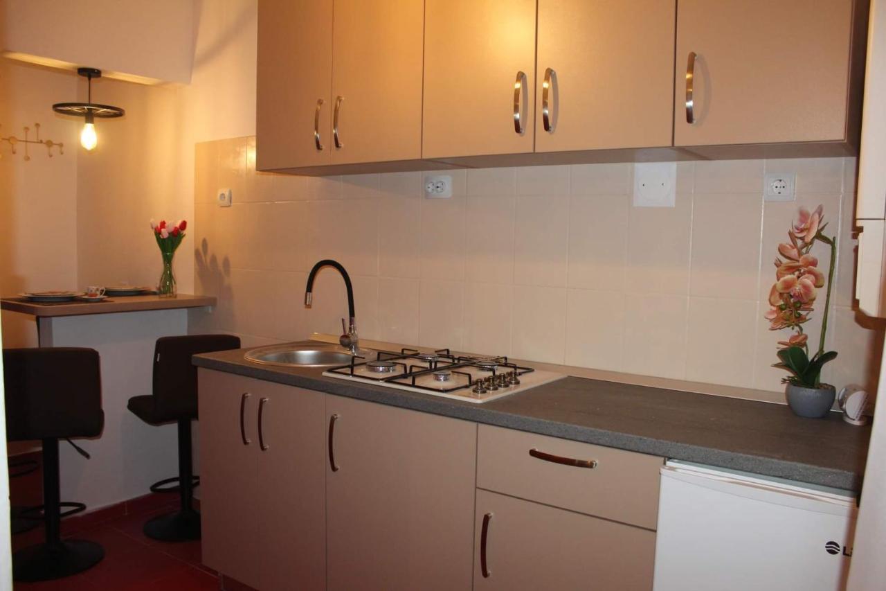 Апартаменты Apartament Dania & Petru Тыргу-Окна Экстерьер фото