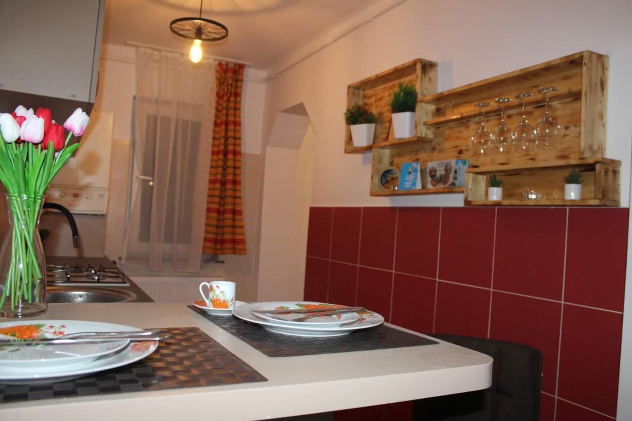 Апартаменты Apartament Dania & Petru Тыргу-Окна Экстерьер фото