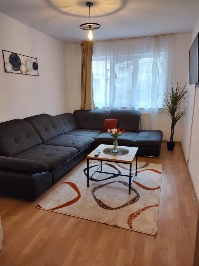 Апартаменты Apartament Dania & Petru Тыргу-Окна Экстерьер фото